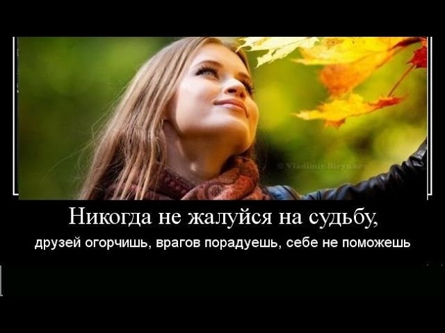Про нытиков