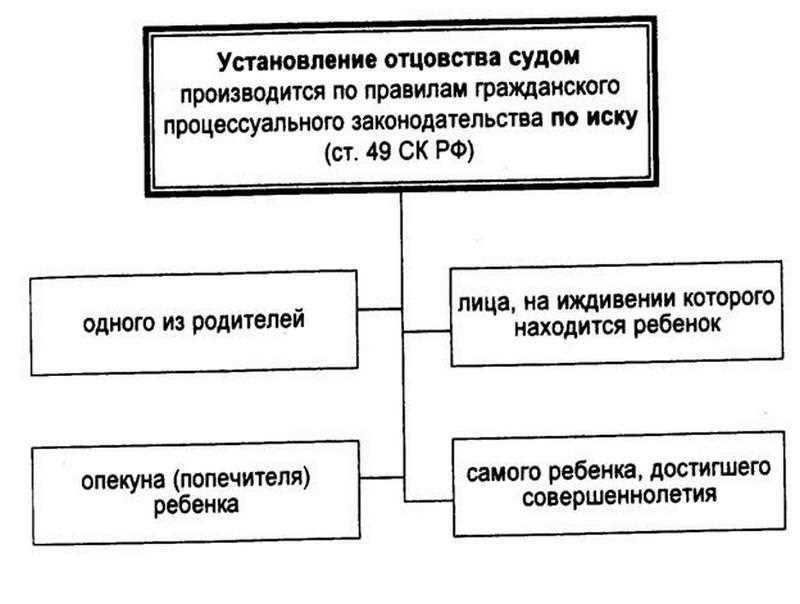 Установление отцовства процедура в суде и порядок решения вопроса